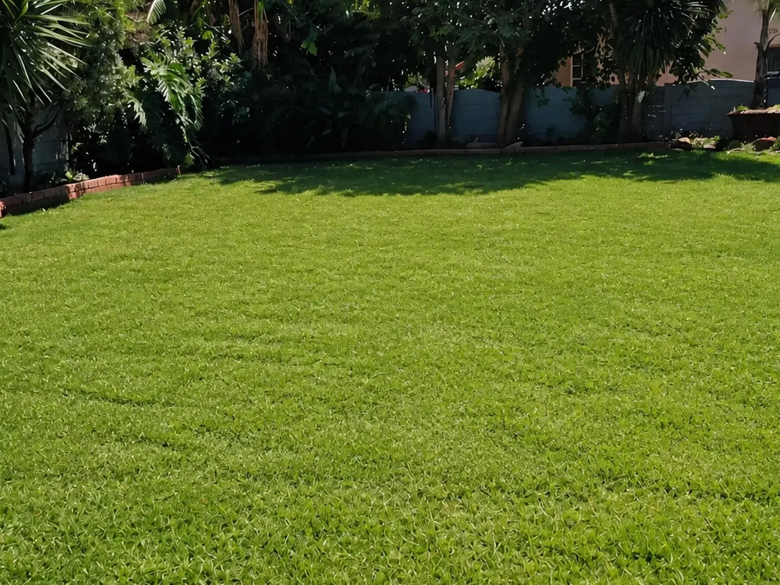 Empty garden before construction of a new swimming pool