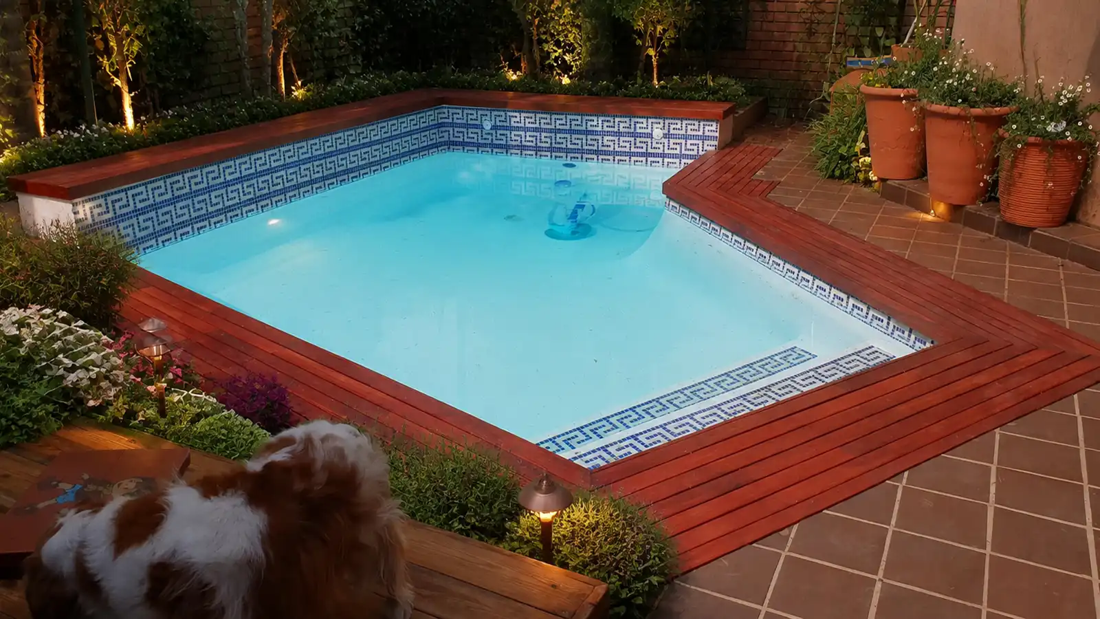 Swimming pool after complete professional renovation