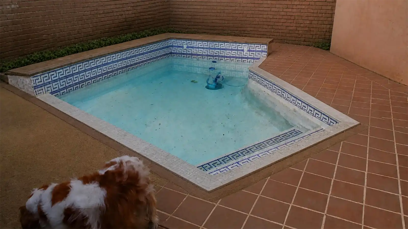 Ageing swimming pool before complete pool renovation